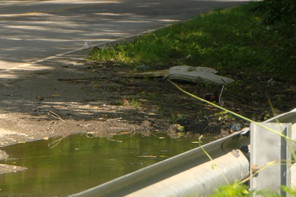 Woman found dead along Nashville roadside police launch homicide investigation