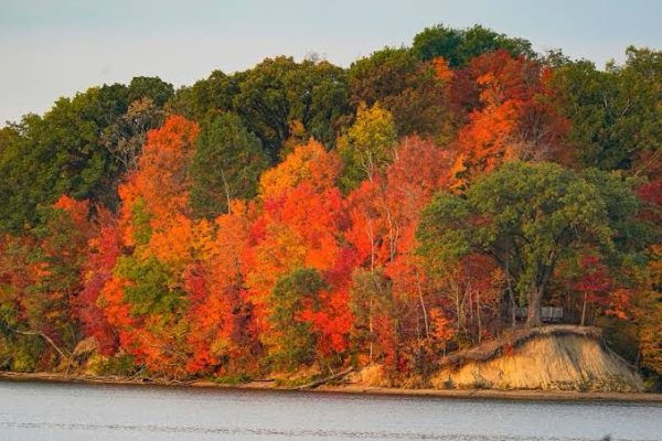 State parks share fall foliage forecast for the Midstate