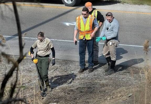 More human remains discovered in Springfield